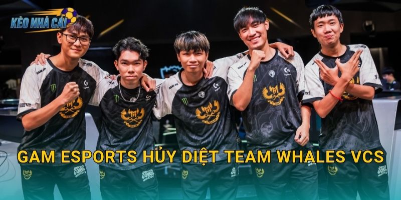 GAM Esports hủy diệt Team Whales VCS – Kèo nhà cái ghi nhận chiến thắng áp đảo của ông vua LMHT Việt 1 GAM Esports hủy diệt Team Whales VCS – Kèo nhà cái ghi nhận chiến thắng áp đảo của ông vua LMHT Việt